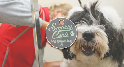 Grooming Van Image