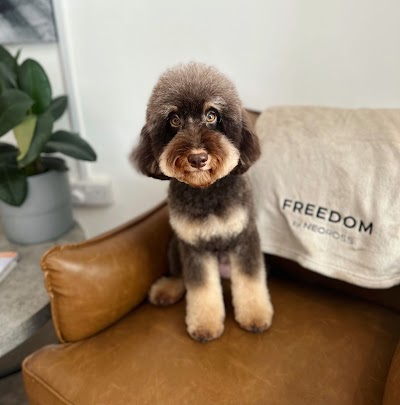 Grooming Van Image