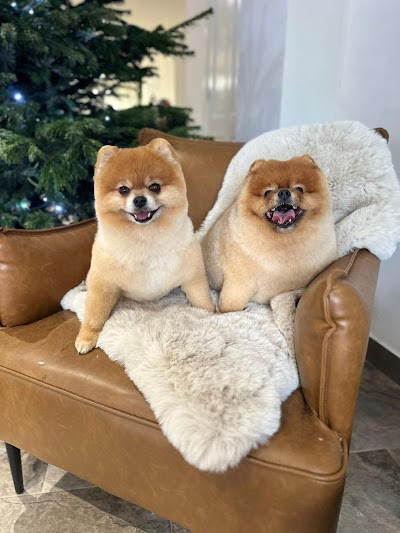 Grooming Van Image