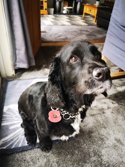 Grooming Van Image