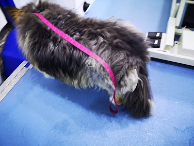 Grooming Van Image