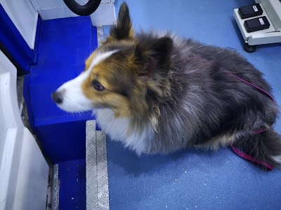 Grooming Van Image