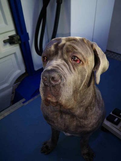 Grooming Van Image