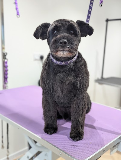 Grooming Van Image