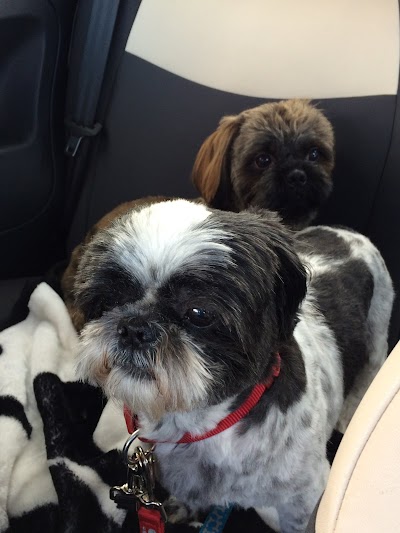 Grooming Van Image
