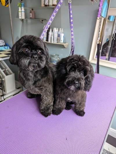 Tangled Dog Grooming Salon