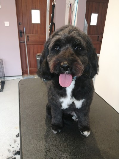 Grooming Van Image