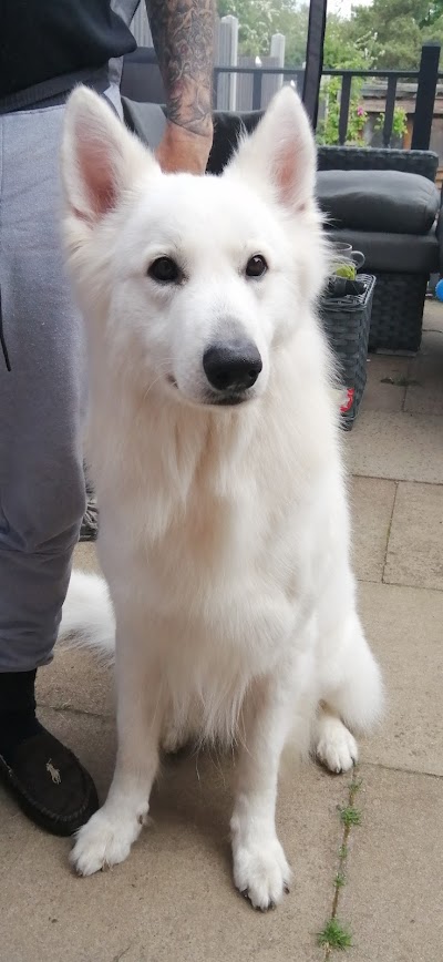 Grooming Van Image