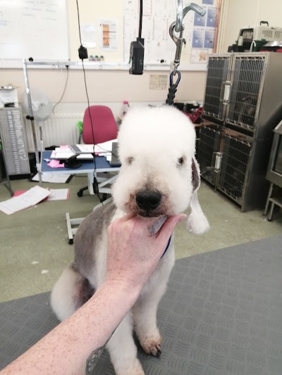 Grooming Van Image