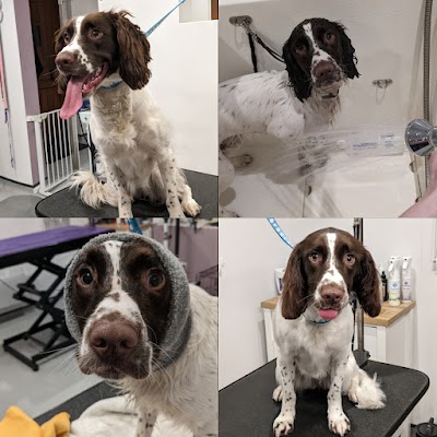 Grooming Van Image