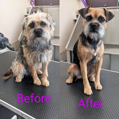 Grooming Van Image
