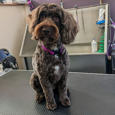 Grooming Van Image