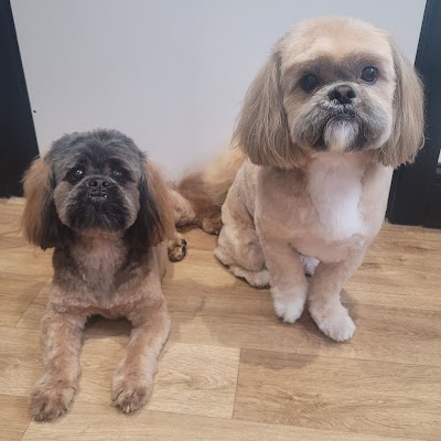 Grooming Van Image