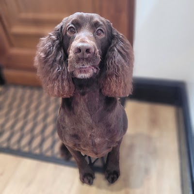 Grooming Van Image