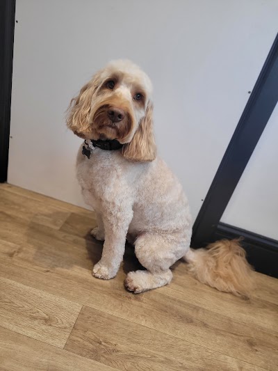 Grooming Van Image