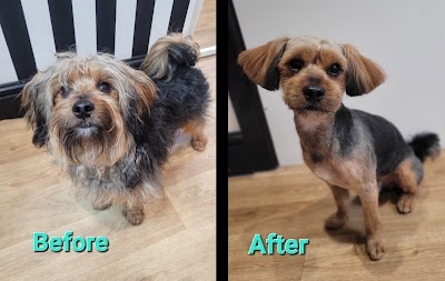 Grooming Van Image