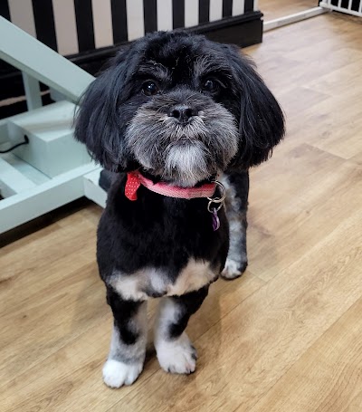 Grooming Van Image