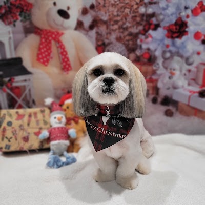 Grooming Van Image