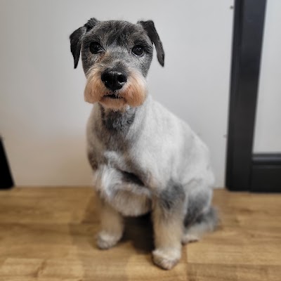 Grooming Van Image