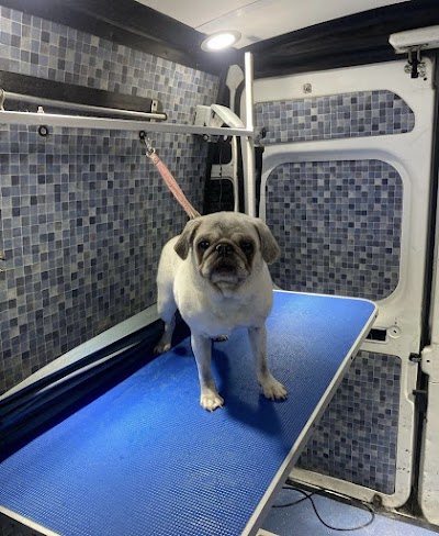 Grooming Van Image