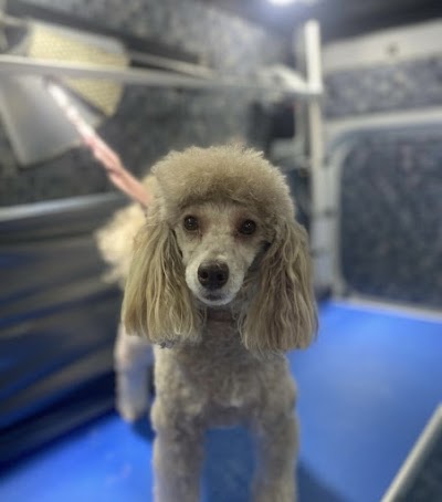 Grooming Van Image