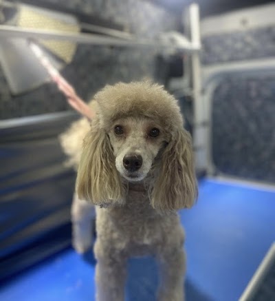 Grooming Van Image