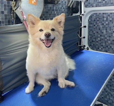 Grooming Van Image