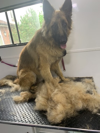 Grooming Van Image
