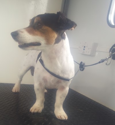 Grooming Van Image