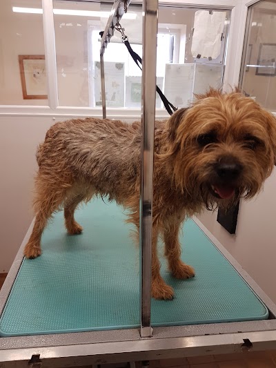 Grooming Van Image
