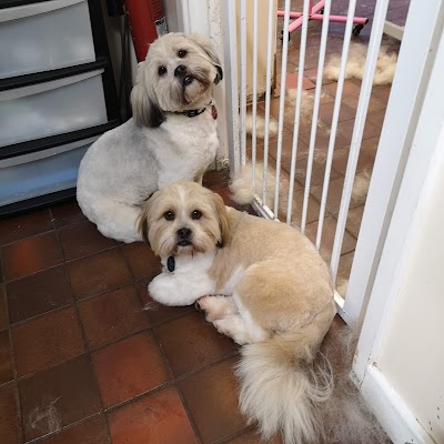 Grooming Van Image