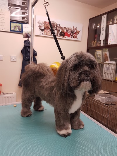 Grooming Van Image