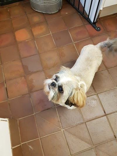 Grooming Van Image