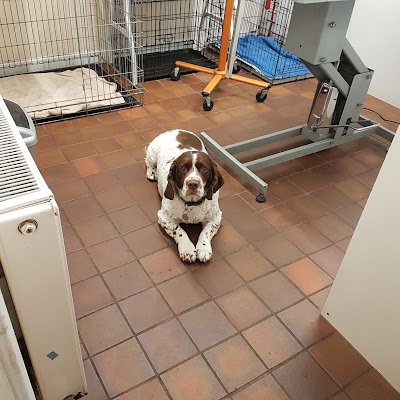 Grooming Van Image