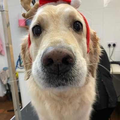 Grooming Van Image