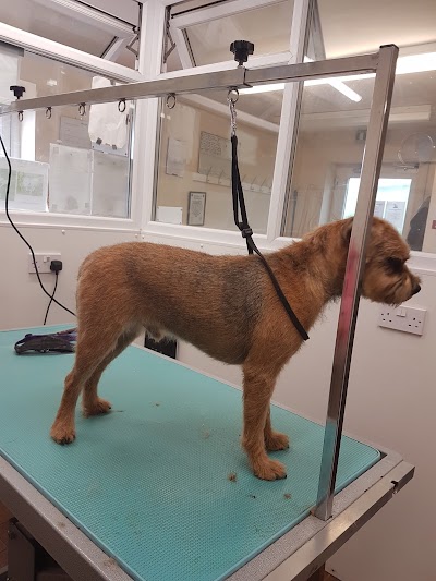 Waggs Wash & Go Grooming Salon