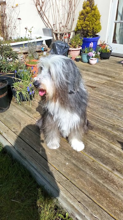 Wagtails Dog Grooming