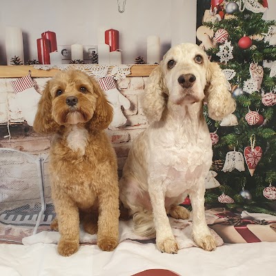 Grooming Van Image