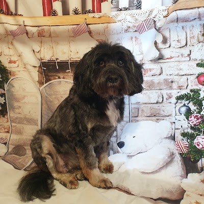 Grooming Van Image