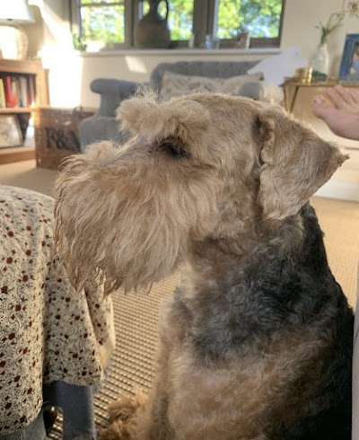 Grooming Van Image