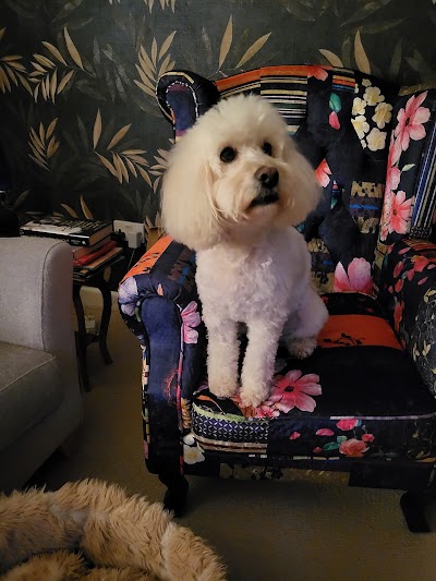 Grooming Van Image