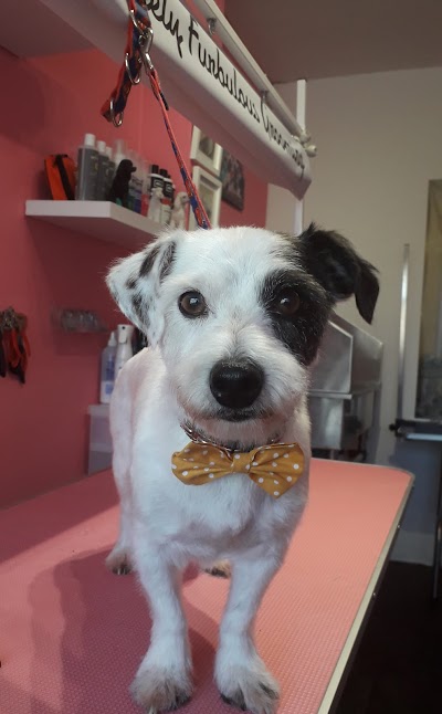 Grooming Van Image
