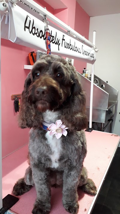 Grooming Van Image