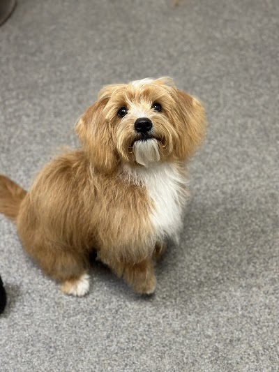 Grooming Van Image