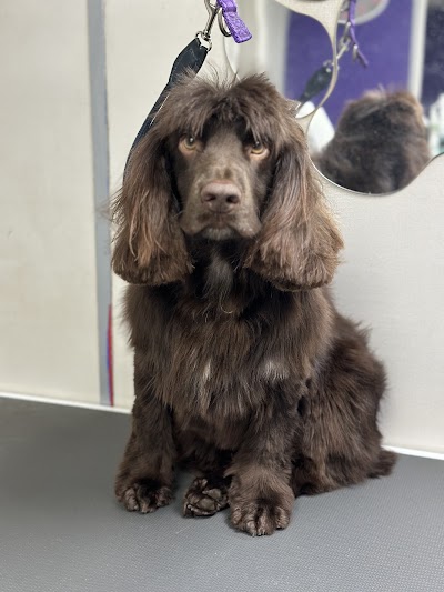 Grooming Van Image