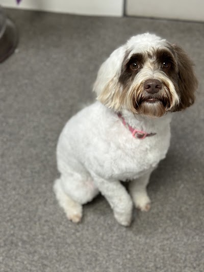 Grooming Van Image