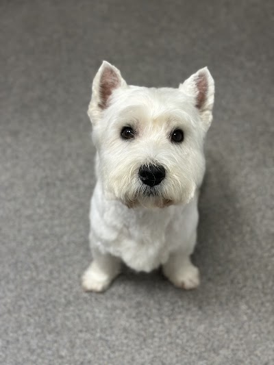 Grooming Van Image