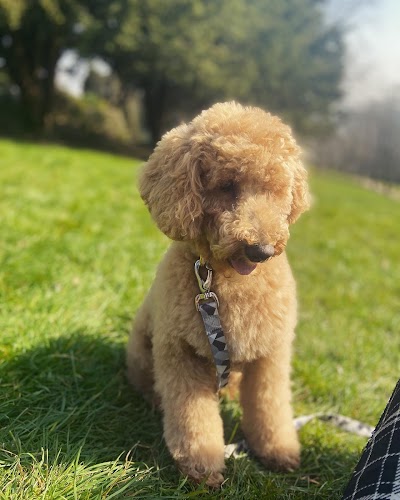 Grooming Van Image