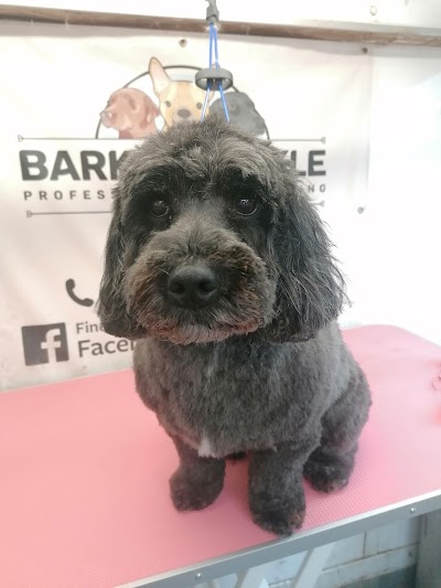 Grooming Van Image