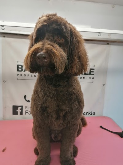 Grooming Van Image